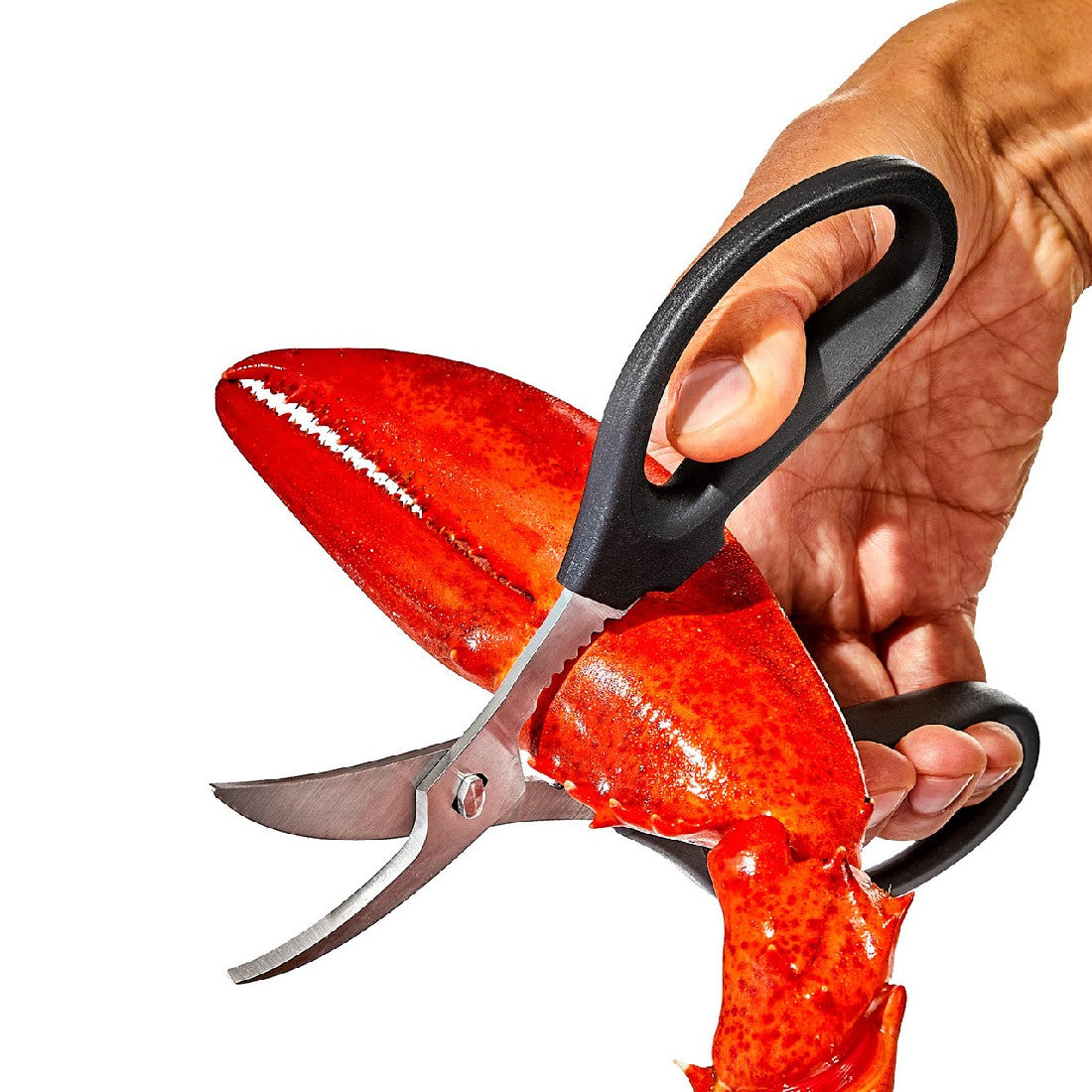 Oxo Good Grips Seafood Scissors