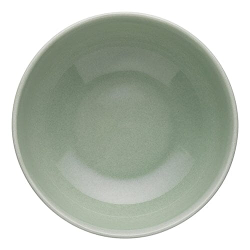 Ecology Element Laksa Bowl 20cm - Dew Loose Dinnerware The Cooks Kitchen