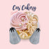 Cas Cakery Set - Closed Star #7 And #10 Piping Tip Sets The Cooks Kitchen