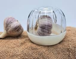 Joie Garlic Pod 8.6x8.6x7.2cm Food Wrap Storage The Cooks Kitchen 