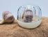 Joie Garlic Pod 8.6x8.6x7.2cm