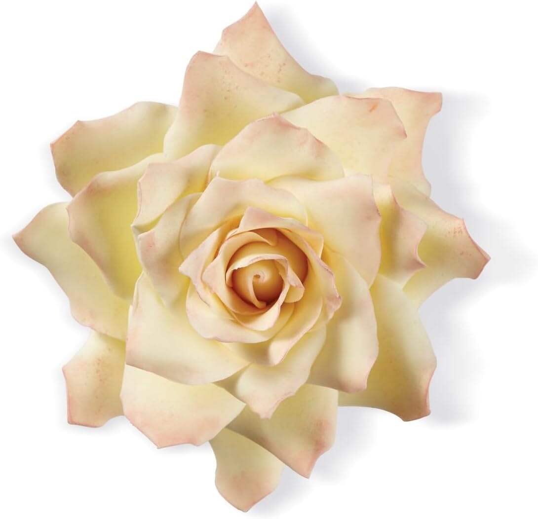 Wilton Gum Paste Cut Outs Set 9pc - Succulent Fondant Cutters The Cooks Kitchen Mandurah 