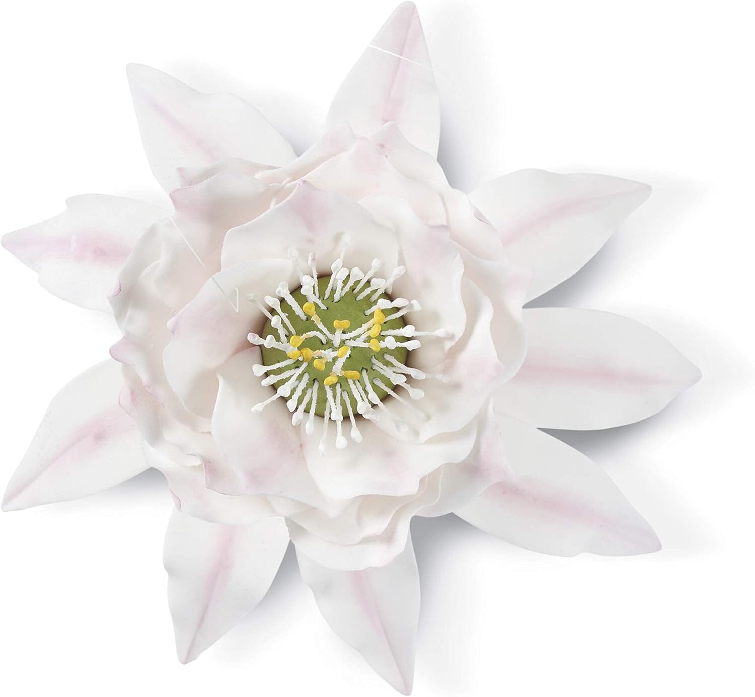 Wilton Gum Paste Cut Outs Set 9pc - Succulent Fondant Cutters The Cooks Kitchen Mandurah 