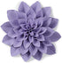 Wilton Gum Paste Cut Outs Set 9pc - Succulent Fondant Cutters The Cooks Kitchen Mandurah 