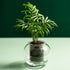 Cup O Flora Medium Self-watering Pot