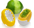 Microplane Flexi Zesti Citrus Grater Zester