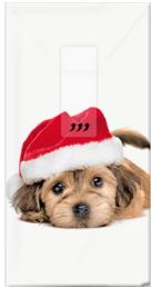 Paper + Design Xmas Hanky - Xmas Puppy 10pk