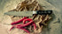 I.o Shen - Chefs Knife 240mm 