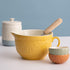 Mason Cash Home To Roost Set Of 4 Mini Bowls