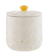 Price & Kensington Daisy Tea Jar Ceramic Hand Painted Flower 700ml