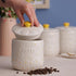 Price & Kensington Daisy Coffee Jar Ceramic Hand Painted Flower 700ml
