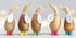 Spotty Boots Dinky Ducks
