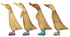 Dcuk Bug Boots Ducklings Home Decor The Cooks Kitchen 