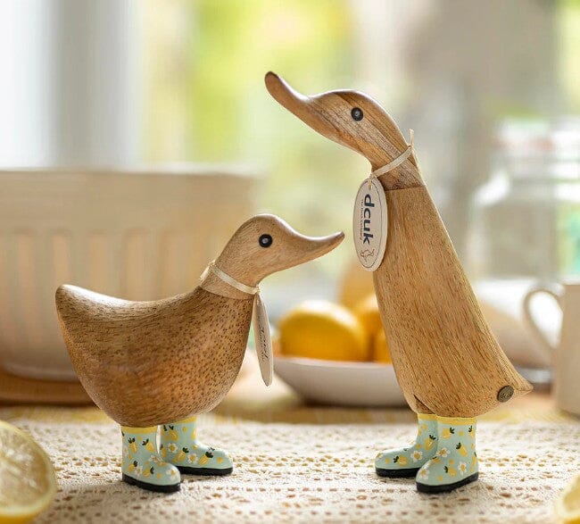 Dcuk Strawberry And Lemon Ducklings Home Decor The Cooks Kitchen 