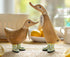 Dcuk Strawberry And Lemon Ducklings Home Decor The Cooks Kitchen 