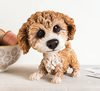 Little Paws Collectible Figurine Molly Cavachon