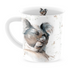 Meg Hawkins Koala Face New Bone China Mug