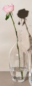 Krosno Allium Optic Vase 34cm