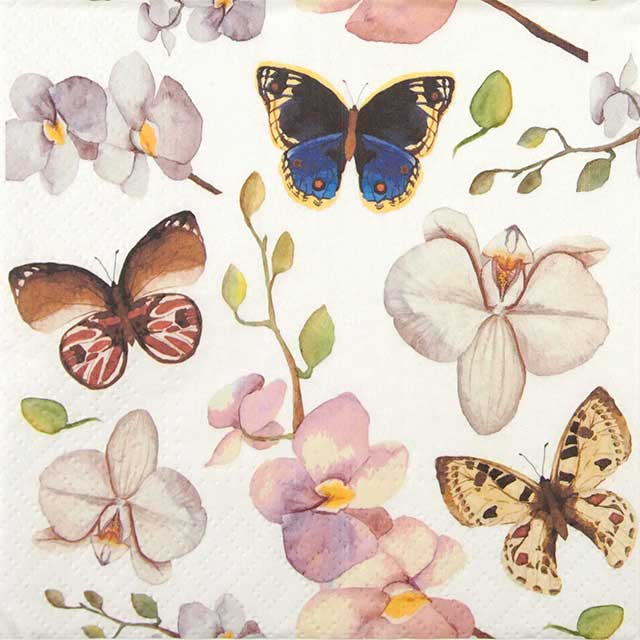 Paw Lunch Napkin 33cm Orchidea Butterfy