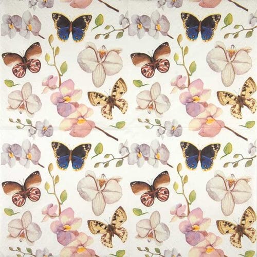Paw Lunch Napkin 33cm Orchidea Butterfy Napkins The Cooks Kitchen 