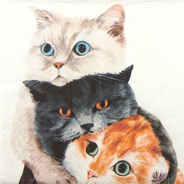 Paw Lunch Napkins 33cm Better Together