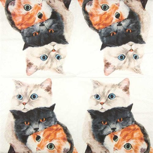 Paw Lunch Napkins 33cm Better Together