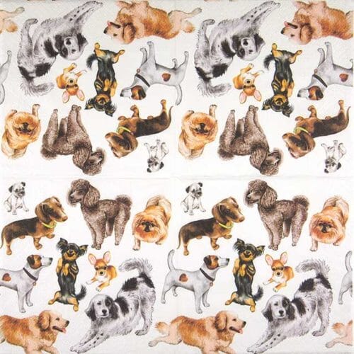 Paw Lunch Napkin 33cm Dogs Happiness Table Cloths & Napkins The Cooks Kitchen 