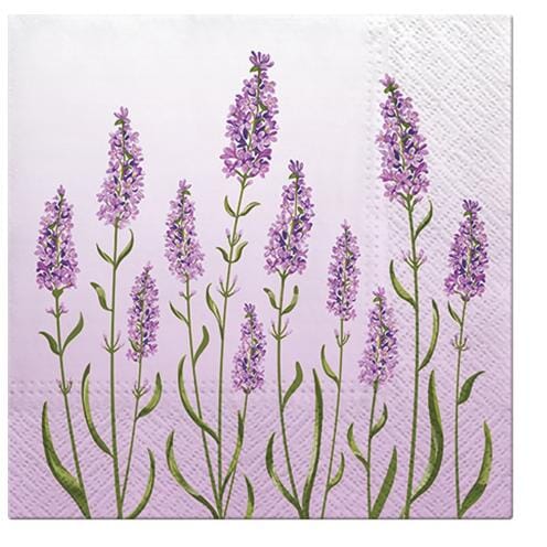 Paw Lunch Napkins 33cm Lavender Field Table Cloths & Napkins The Cooks Kitchen 