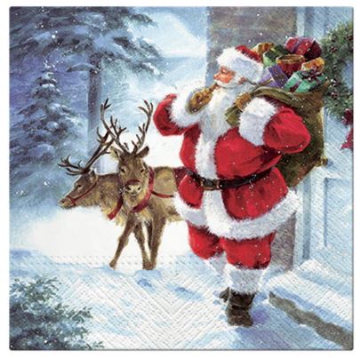Paw Lunch Napkins - Santa Is Coming