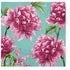 Paw Lunch Napkins 33cm Beautiful Peonies Table Cloths & Napkins The Cooks Kitchen 
