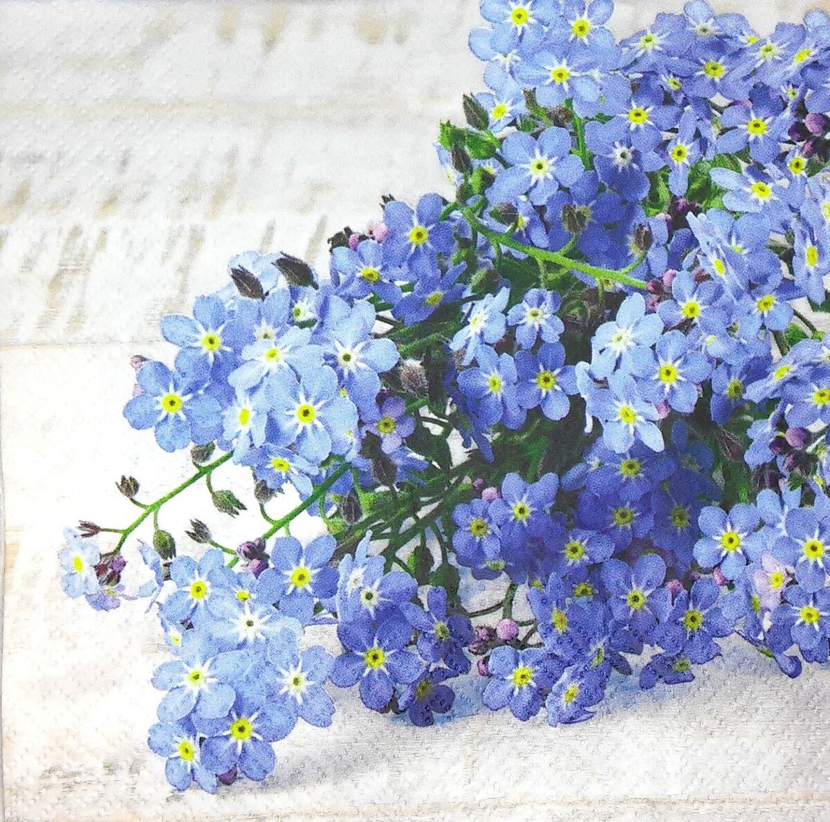 Paw Lunch Napkins 33cm Forget Me Not