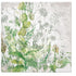 Paw Lunch Napkins 33cm Meadow