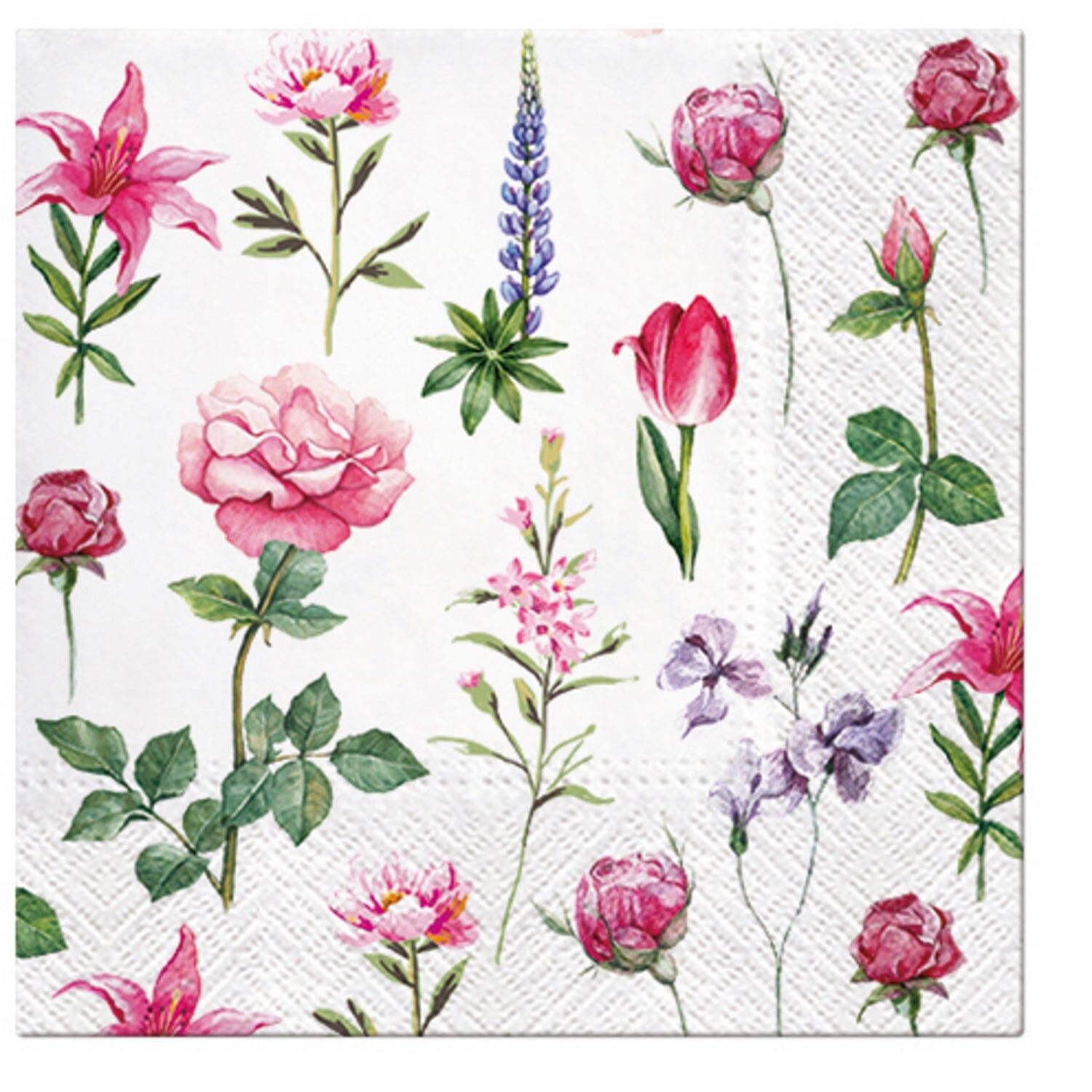Paw Lunch Napkins 33cm Boons Of Garden Table Cloths & Napkins The Cooks Kitchen 