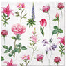 Paw Lunch Napkins 33cm Boons Of Garden