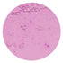 Rolkem Rainbow Spectrum - Dusky Rose Dusts and Powders The Cooks Kitchen 