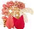 Iconic Cake Art Pink Floral Butterfly Topper Set Cake Toppers The Cooks Kitchen 
