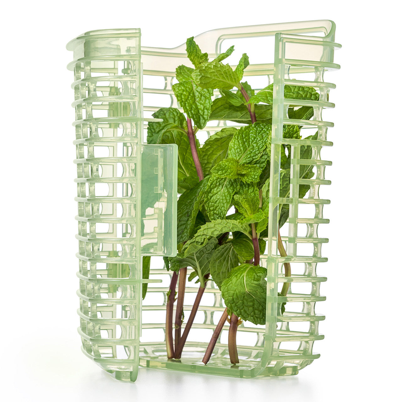 Oxo Good Grips Greensaver Herb Keeper - Small