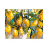 Lemon Tree Lane Hard Backed Placemats
