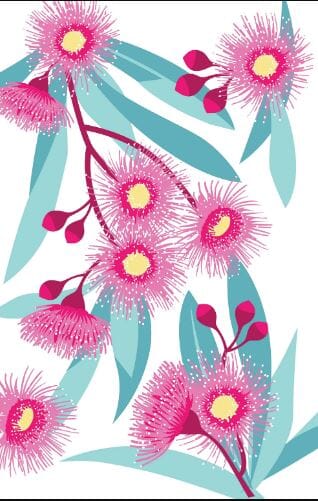 Allgifts Australia Tea Towels - Flowering Gum Tea Towels The Cooks Kitchen 