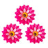 Vigar Flower Power Pink Magnet 3pck