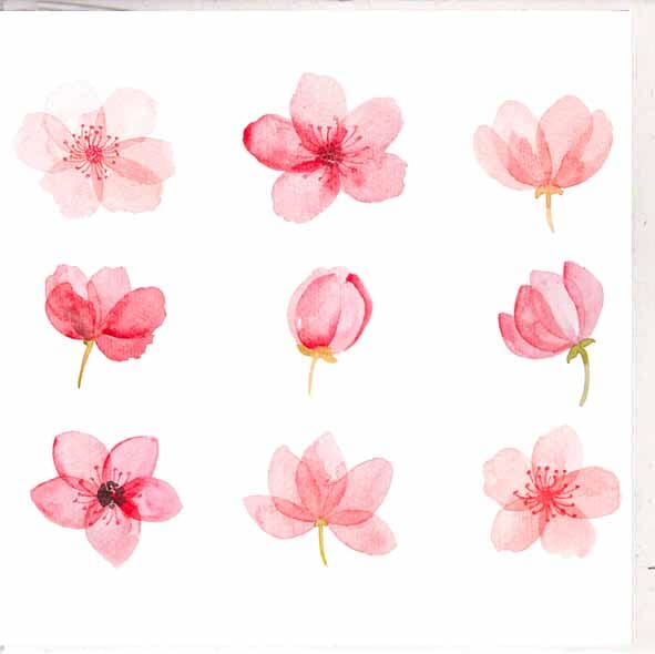 Card - Flowers Cards & Wrapping The Cooks Kitchen 