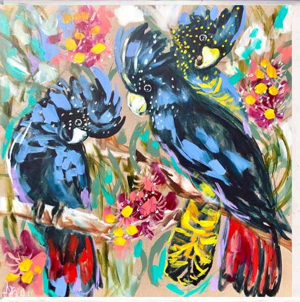 Card - Amanda Brooks Black Cockatoo