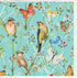 Gift Card Birds And Butterflies