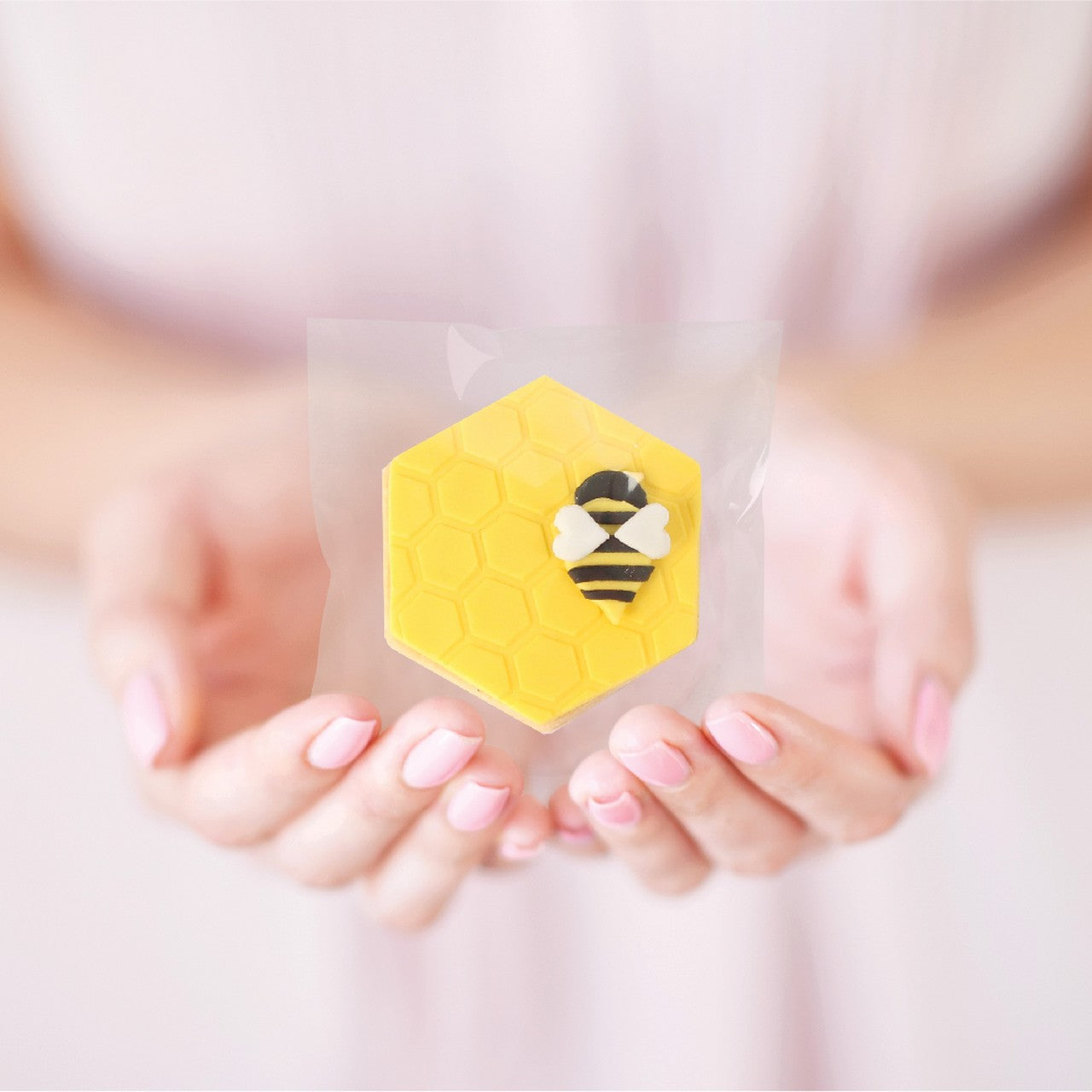 Peel & Seal Bag Pkt 25 - 9.5 X 9.5 Cm (b Bag)