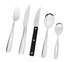 Stanley Rogers Amsterdam 40 Piece Set With Steak Knives