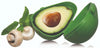 Avanti Kitchenwerks Avocado Saver