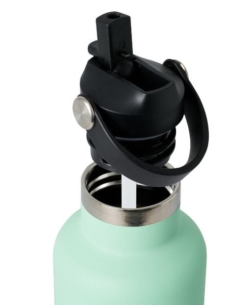 Avanti Hydroplus Sipper Bottle 750ml - Mint Drink Bottles The Cooks Kitchen 