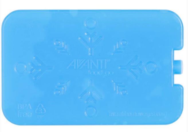 Avanti Gel Ice Brick Set Of 2