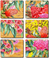Cinnamon Native Flowers Coasters - Set Of 6