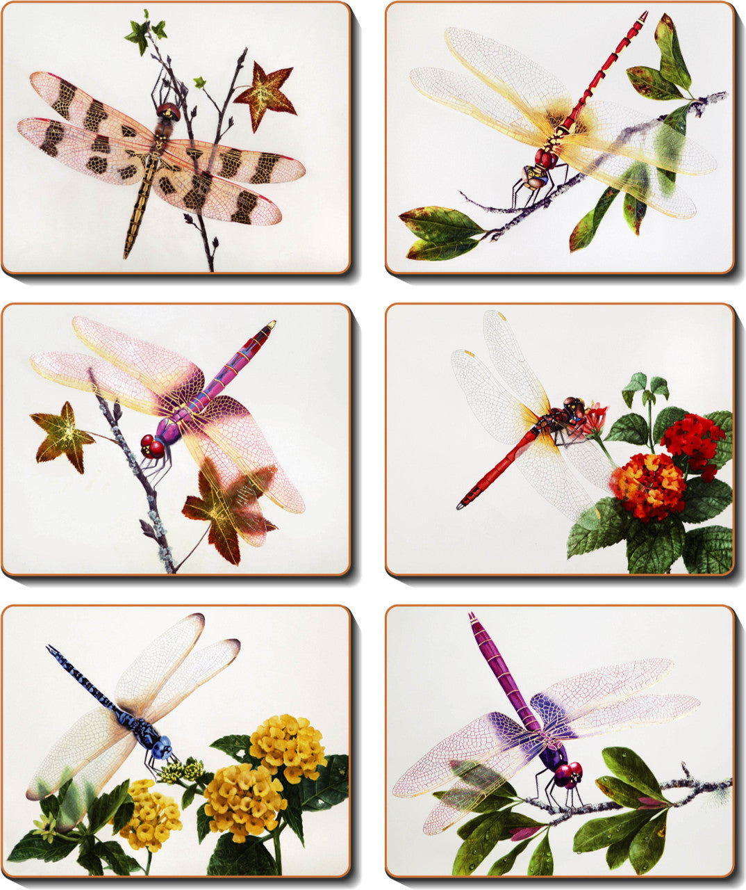 Cinnamon Delicate Wings Placemats - Set Of 6